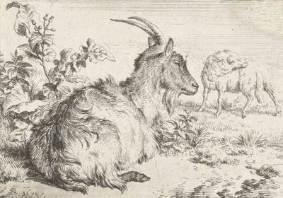 Chèvre couchée, 1670 - Adriaen van de Velde
