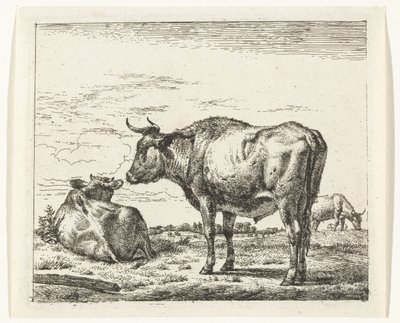 Taureau debout (Divers animaux) - Adriaen van de Velde