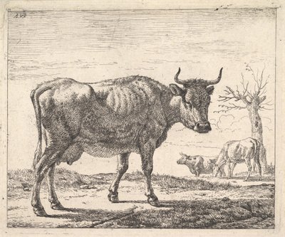 Trois vaches - Adriaen van de Velde