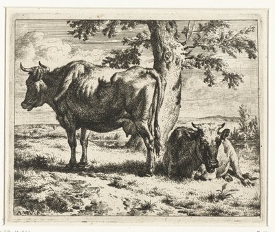 Deux vaches sous un arbre - Adriaen van de Velde