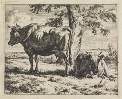 Deux vaches sous un arbre - Adriaen van de Velde