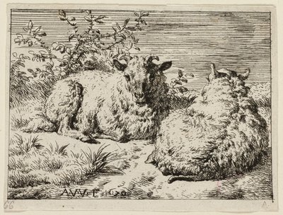 Deux moutons - Adriaen van de Velde