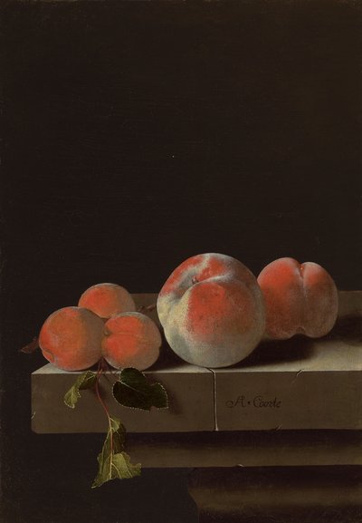 Pêches et abricots sur un rebord de pierre - Adrian Coorte