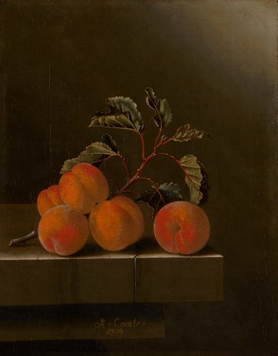 Nature morte avec cinq abricots, 1704 - Adrian Coorte