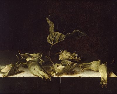 Nature morte avec noisettes - Adrian Coorte