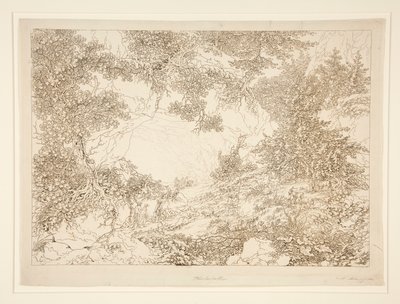 Paysage - Adrian Zingg