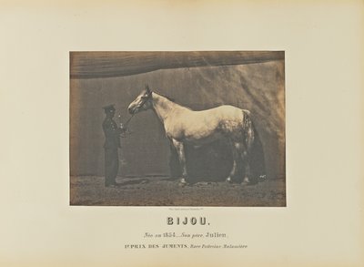Bijou - Adrien Alban Tournachon