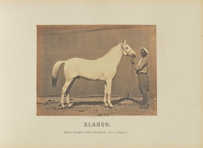 Blanco - Adrien Alban Tournachon