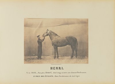Henri - Adrien Alban Tournachon