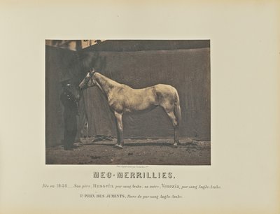 Meg-Merrillies - Adrien Alban Tournachon