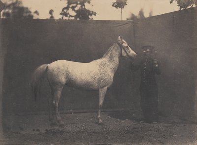Pascaline, vers 1855-1860 - Adrien Alban Tournachon