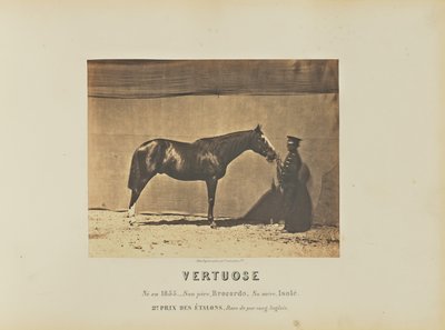 Dans la Vertuose - Adrien Alban Tournachon