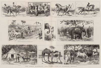 La grande foire aux éléphants et aux chevaux à Sonepur, Bengale - Adrien Emmanuel Marie