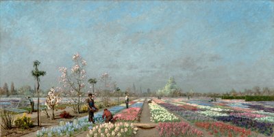 Les champs de jacinthes en fleurs à la pépinière Van Houtte, Gand avec vue sur l