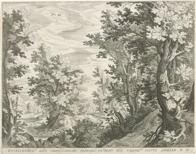 Paysage forestier - Egidius  Sadeler (II)