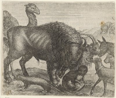 Fable du bison et des autres animaux - Egidius  Sadeler (II)