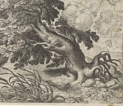 Fable du frêne et du roseau - Egidius  Sadeler (II)