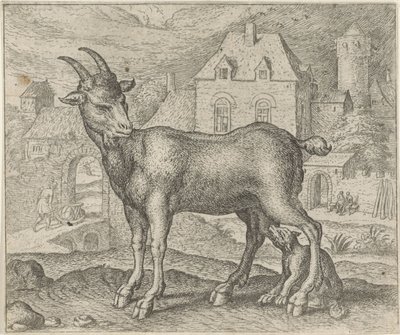 Fable de la chèvre et du jeune loup - Egidius  Sadeler (II)
