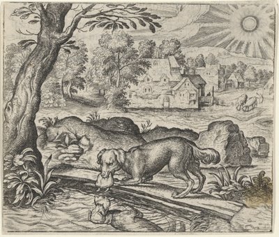 Fable du chien et de son reflet - Egidius  Sadeler (II)