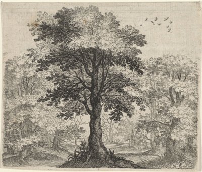 Fable de l
