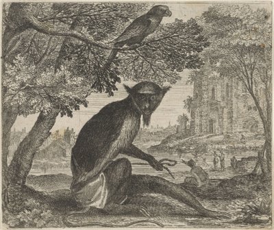 Fable du perroquet et du singe - Egidius  Sadeler (II)