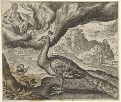 Fable du paon et du rossignol - Egidius  Sadeler (II)