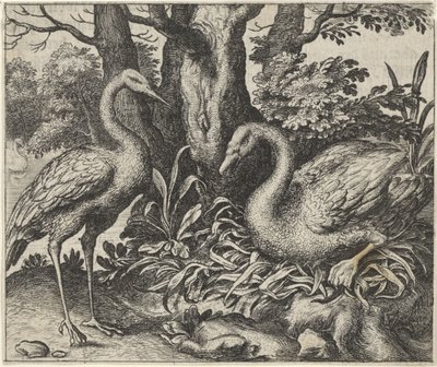 Fable du cygne et de la cigogne - Egidius  Sadeler (II)