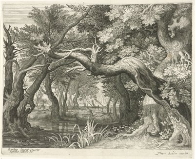 Chasse au cerf près d