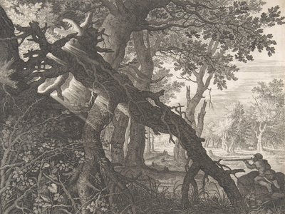 Une forêt avec une chasse au lapin - Aegidius Sadeler II