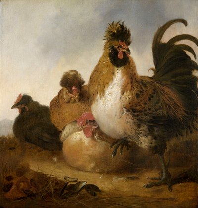Un coq et des poules - Aelbert Cuyp