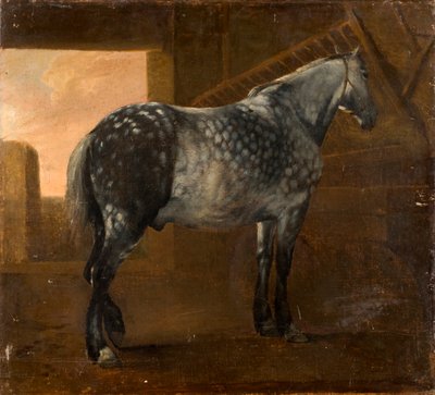 Un cheval gris pommelé - Aelbert Cuyp