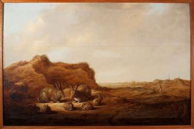 Paysage avec des lapins - Aelbert Cuyp