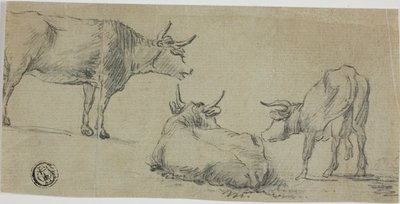 Trois croquis de vaches - Aelbert Cuyp
