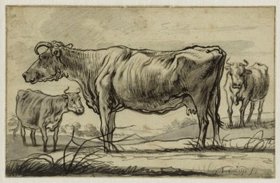  - Aelbert Cuyp