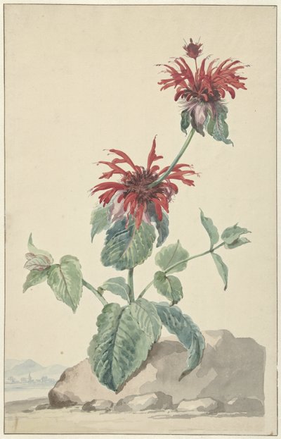 Une bergamote rouge dans un paysage - Aert Schouman (circle of)