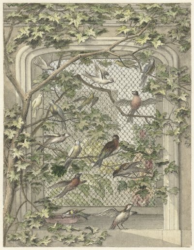 Volière avec quatorze oiseaux - Aert Schouman (possibly)