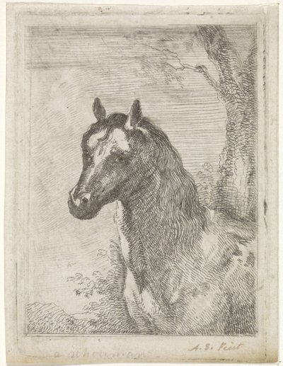 Tête de cheval - Aert Schouman (signed by artist)