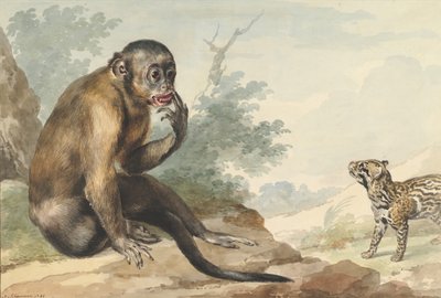 Un singe assis sur un rocher regardant une civette, 1764 - Aert Schouman