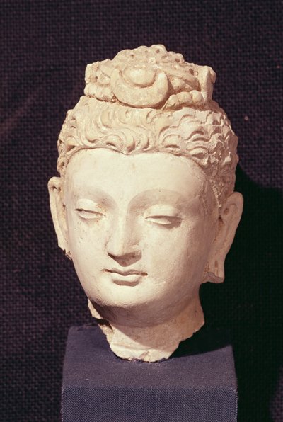 Tête d