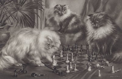 Groupe de chats jouant avec des pièces d