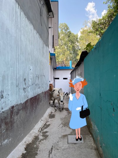 Reine, 2023 - Agnes Girardon