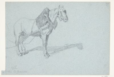 Un cheval - Agnes Lunn