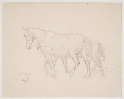 À cheval - Agnes Lunn