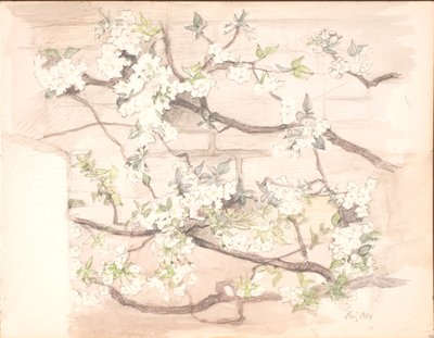 Fleurs de pommier - Agnes Slott Møller