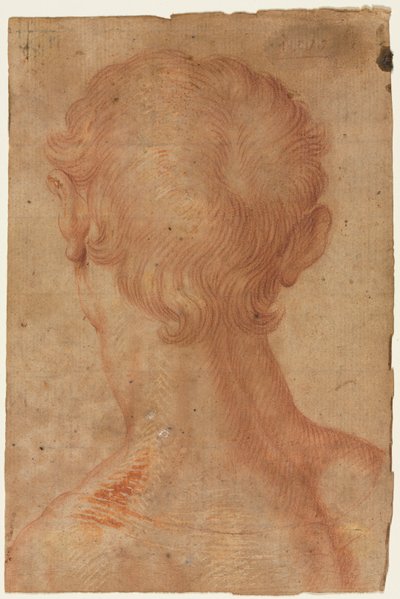  - Agnolo Bronzino