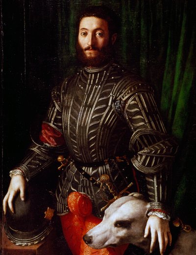 Portrait de Guidobaldo II della Rovere - Agnolo Bronzino