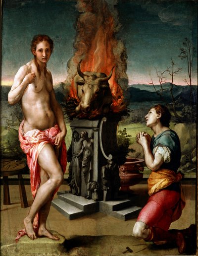 Pygmalion et Galatée - Agnolo Bronzino