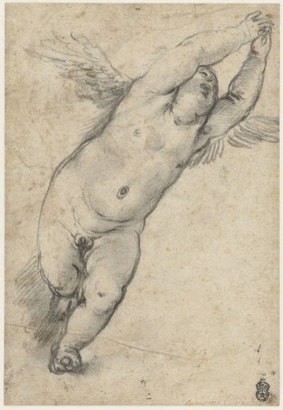 Putto volant avec bras levés - Agostino Carracci (attributed to)