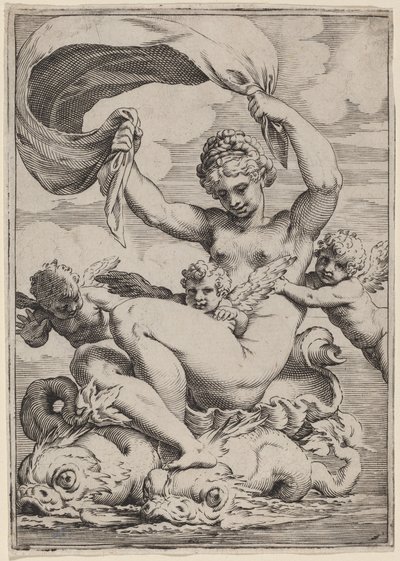 Vénus ou Galatée soutenue par des dauphins - Agostino Carracci