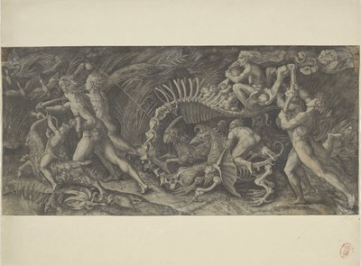 La carcasse - Agostino Veneziano